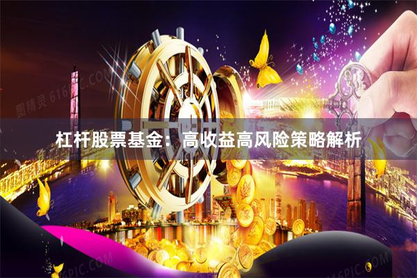 杠杆股票基金：高收益高风险策略解析